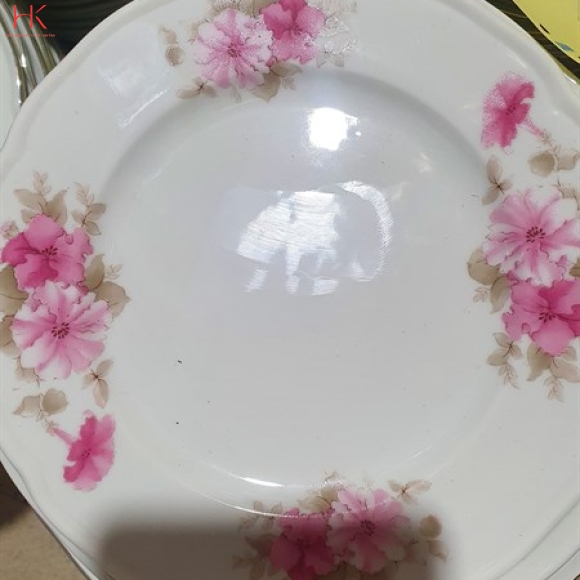 DĨA 6 SÂU CK HOA 3027