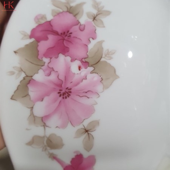 TÔ CANH 6 CK HOA 3027
