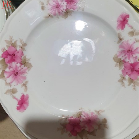DĨA 8 SÂU CK HOA 3027