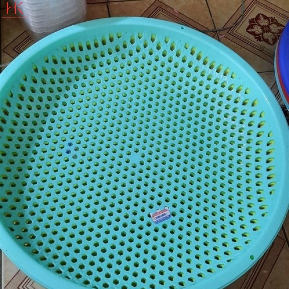 RỔ CẠN 6T5 DUY TÂN