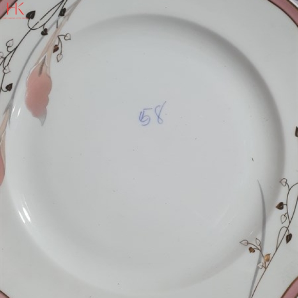 DĨA 8 CẠN CK HOA 1012