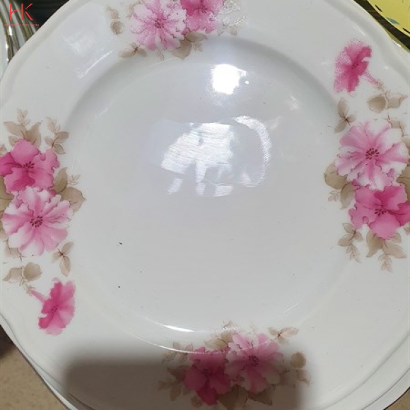 DĨA 9 CẠN CK HOA 3027