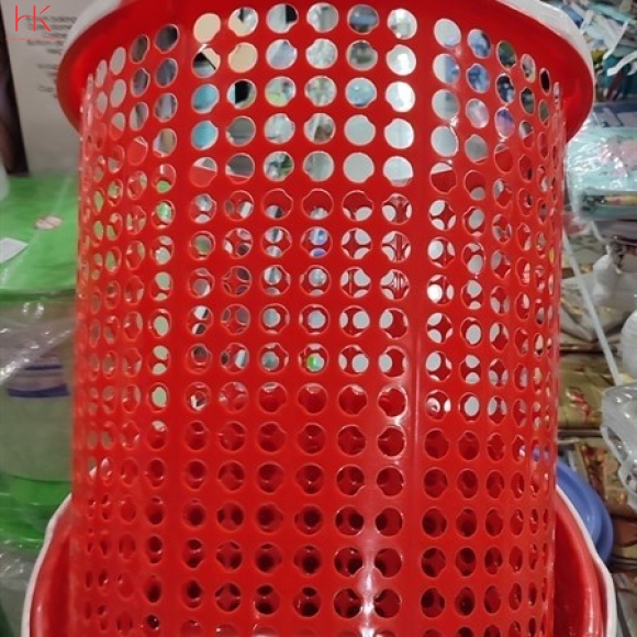 SỌT QUAI LỚN DUY TÂN
