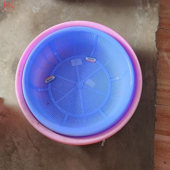 Rổ Gạo 4T0 DT