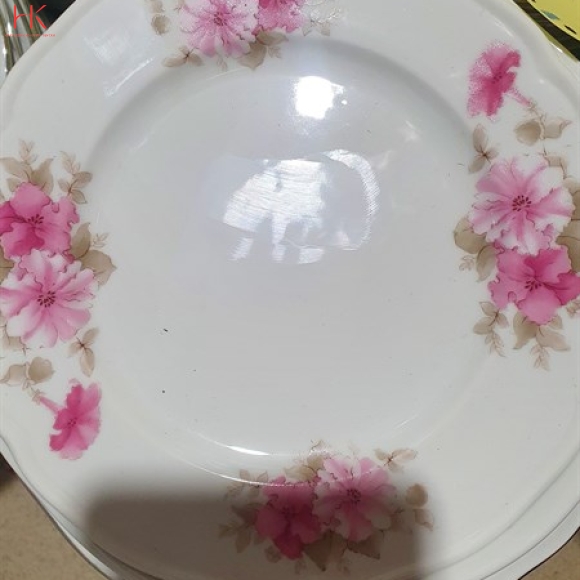 DĨA 6 CẠN CK HOA 3027