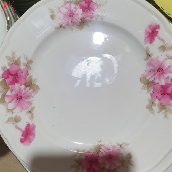 DĨA 8 CẠN CK HOA 3027