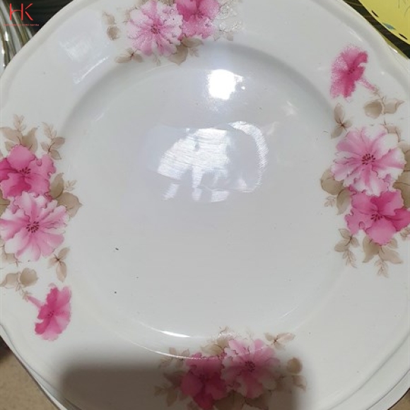 DĨA 9 SÂU CK HOA 3027