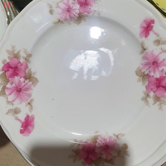 DĨA 7 CẠN CK HOA 3027