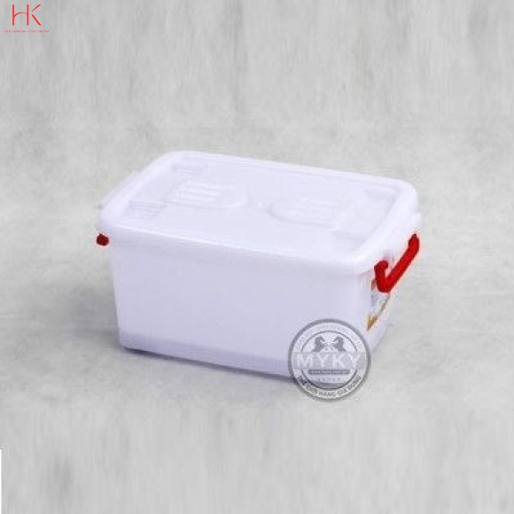 THÙNG CHỮ NHẬT DUY TÂN H116 15 LÍT